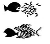 Little fish-Big fish